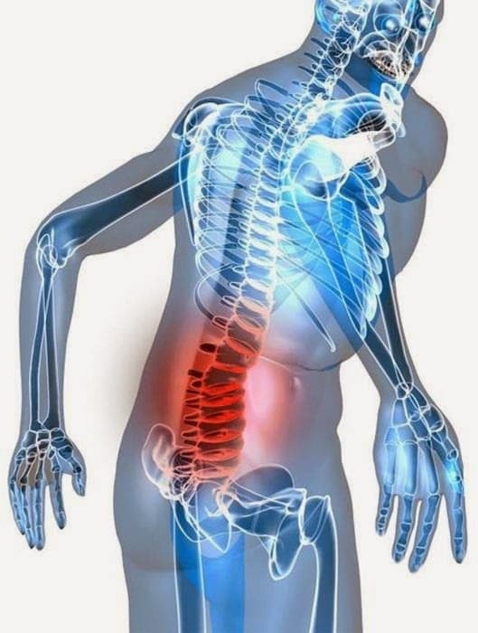 Mobile phones showing learning app interface